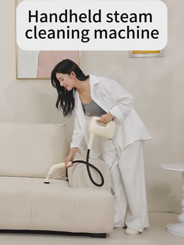 Steam Cleaning Machine